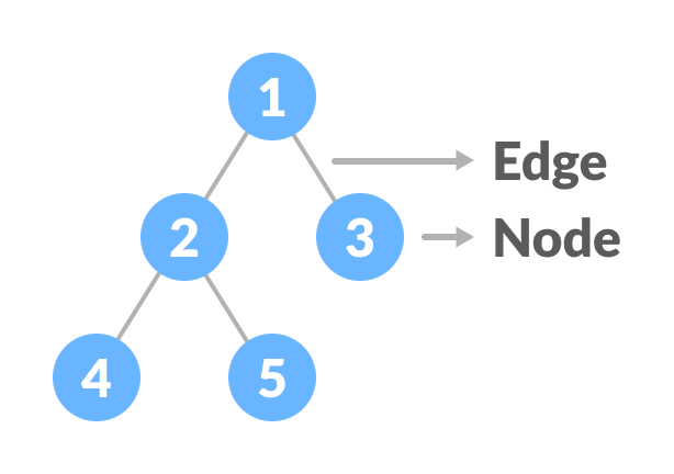 Edges & Nodes